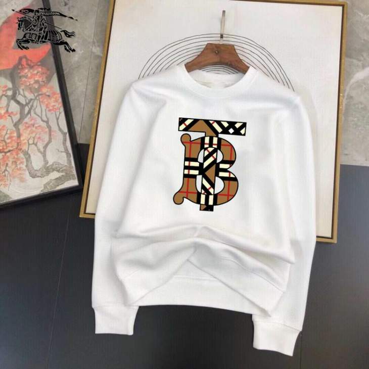 Picture of Burberry Sweatshirt _SKUBurberryM-3XL25tn0330723